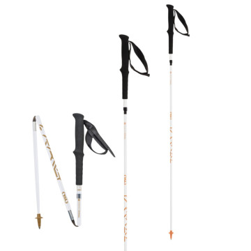 TSL Trail Carbon 4 Fly