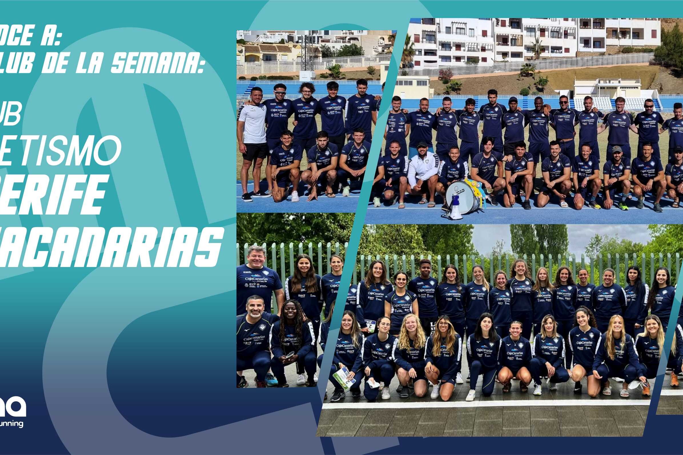 TENERIFE CAJACANARIAS blog 001